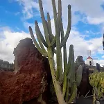 Апартаменты El Oasis De Nali - Playa Grande Пуэрто дель Кармен