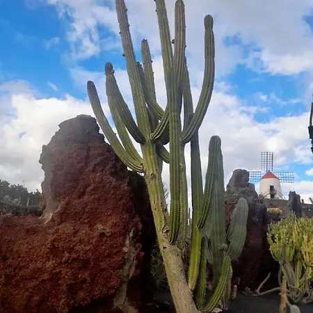 Daire El Oasis De Nali - Playa Grande Puerto del Carmen (Lanzarote)
