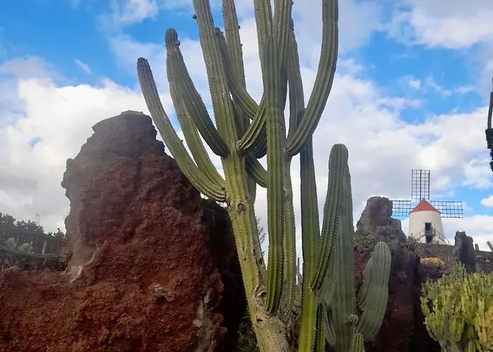 Lejlighed El Oasis De Nali - Playa Grande Puerto del Carmen (Lanzarote)